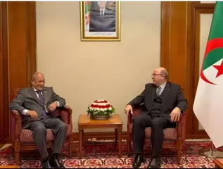 الوزير الأول يستقبل وزير الصيد والاقتصاد البحري الموريتاني